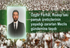Özgür Ferhat, Rodop’taki pamuk üreticilerinin yaşadığı zararları Meclis gündemine taşıdı